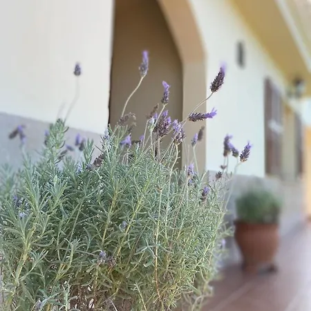 Casa Con Piscina Muy Cerca Del Mar *